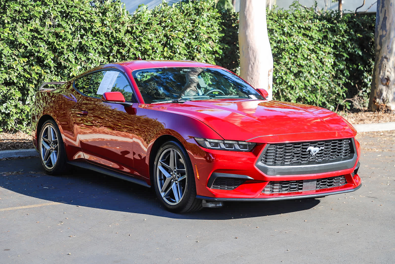 Used 2024 Ford Mustang Coupe RWD image 3