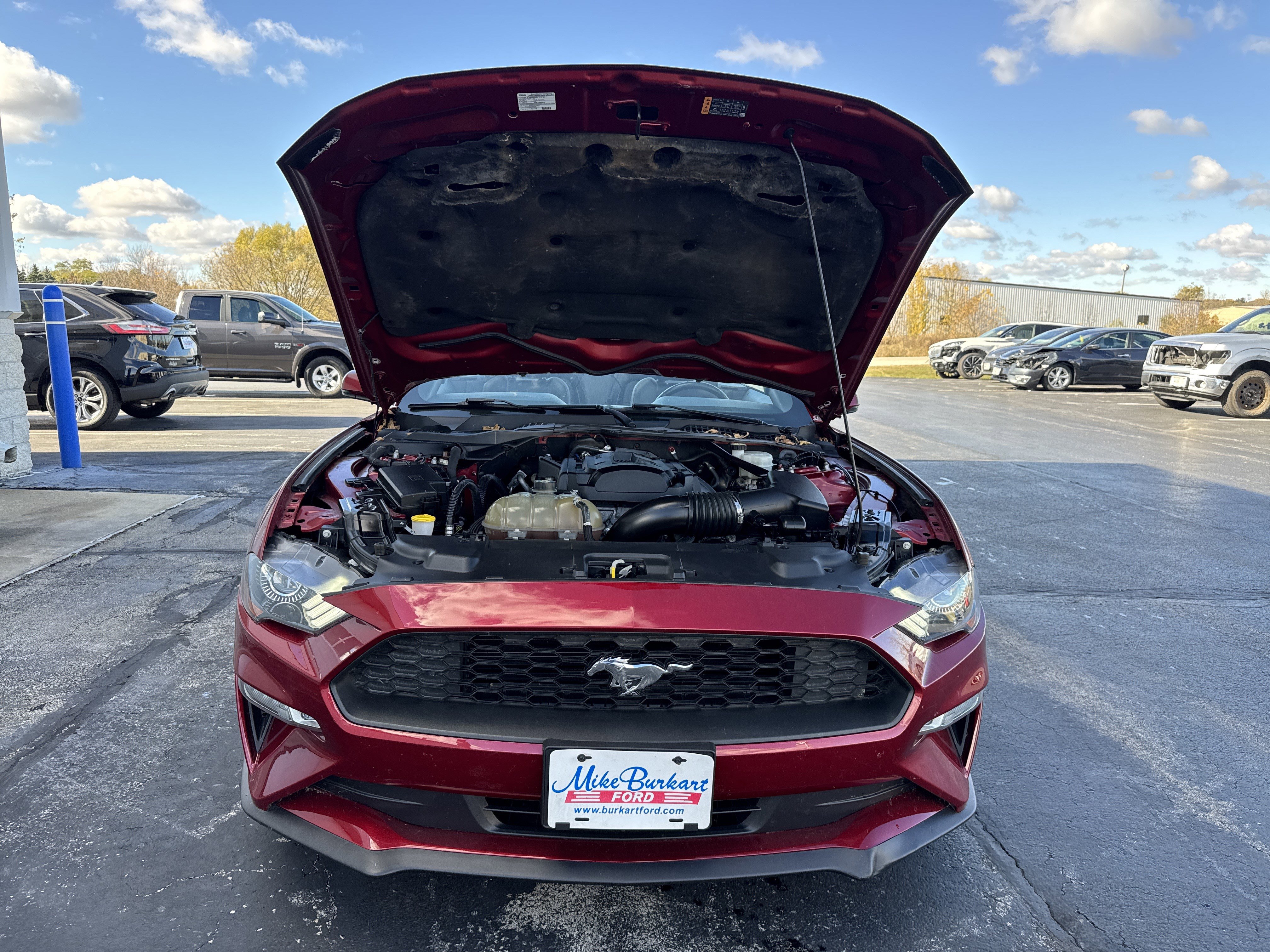 Used 2018 Ford Mustang Premium w/ Equipment Group 201A image 56