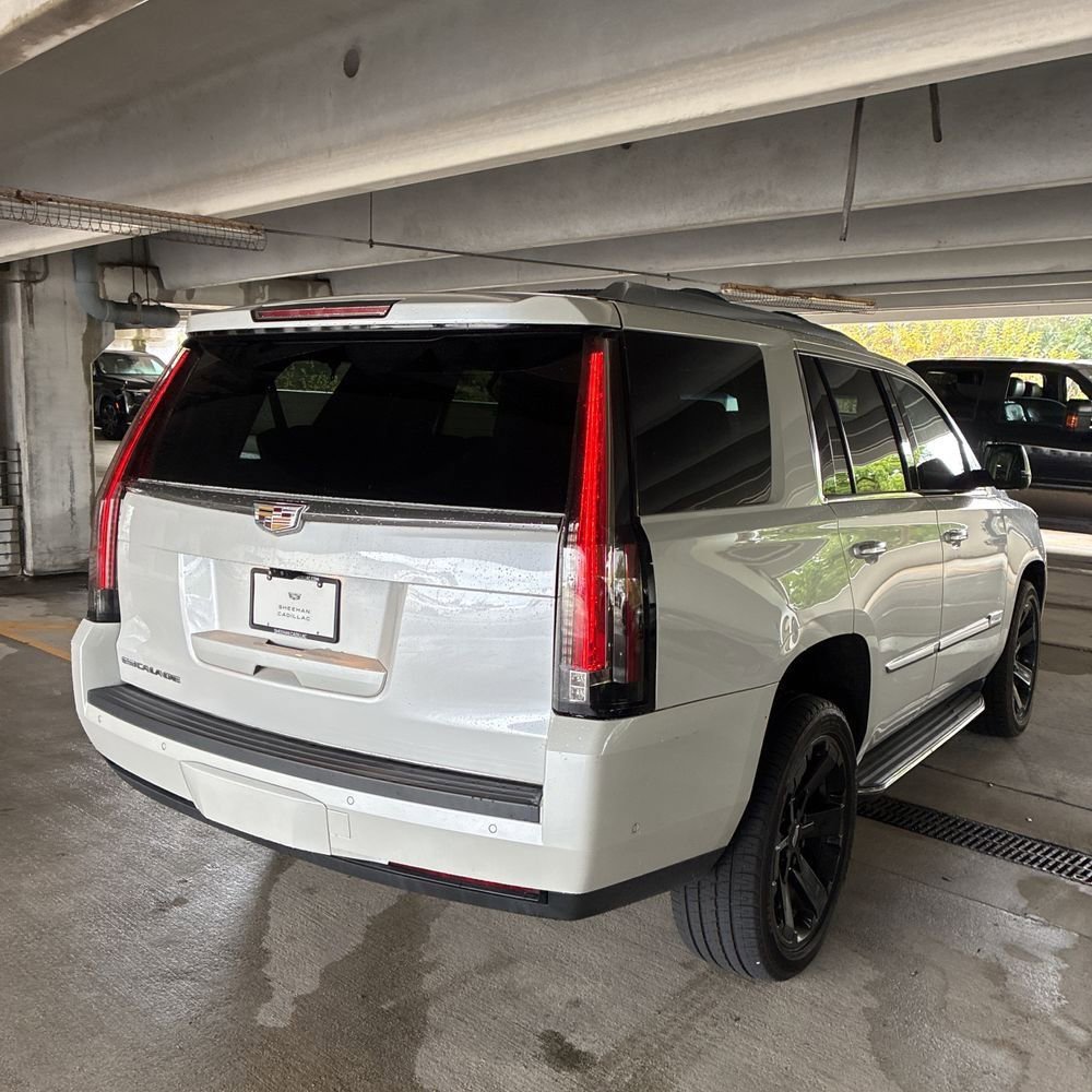 Used 2019 Cadillac Escalade Luxury image 5