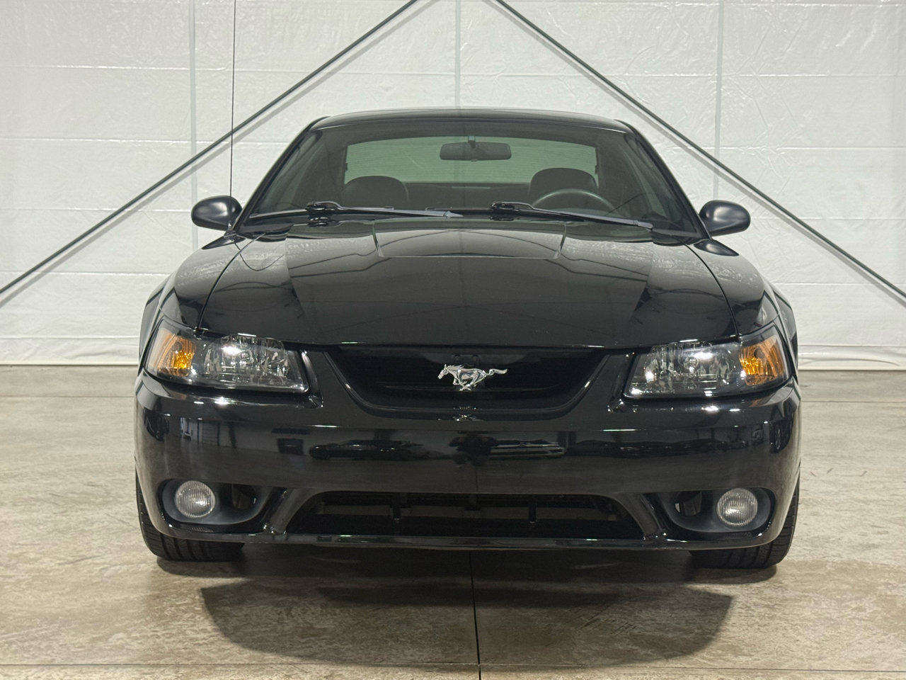 Used 2001 Ford Mustang Cobra image 5