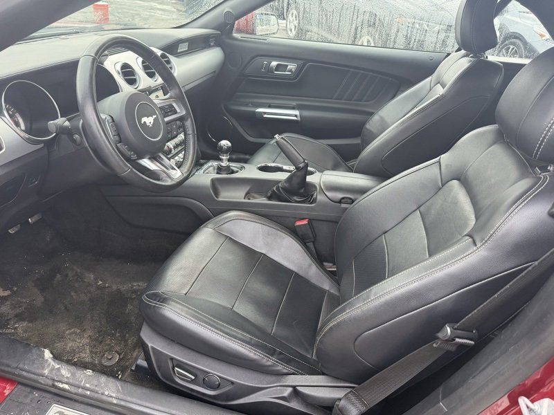 Used 2017 Ford Mustang GT Premium w/ Equipment Group 401A image 6