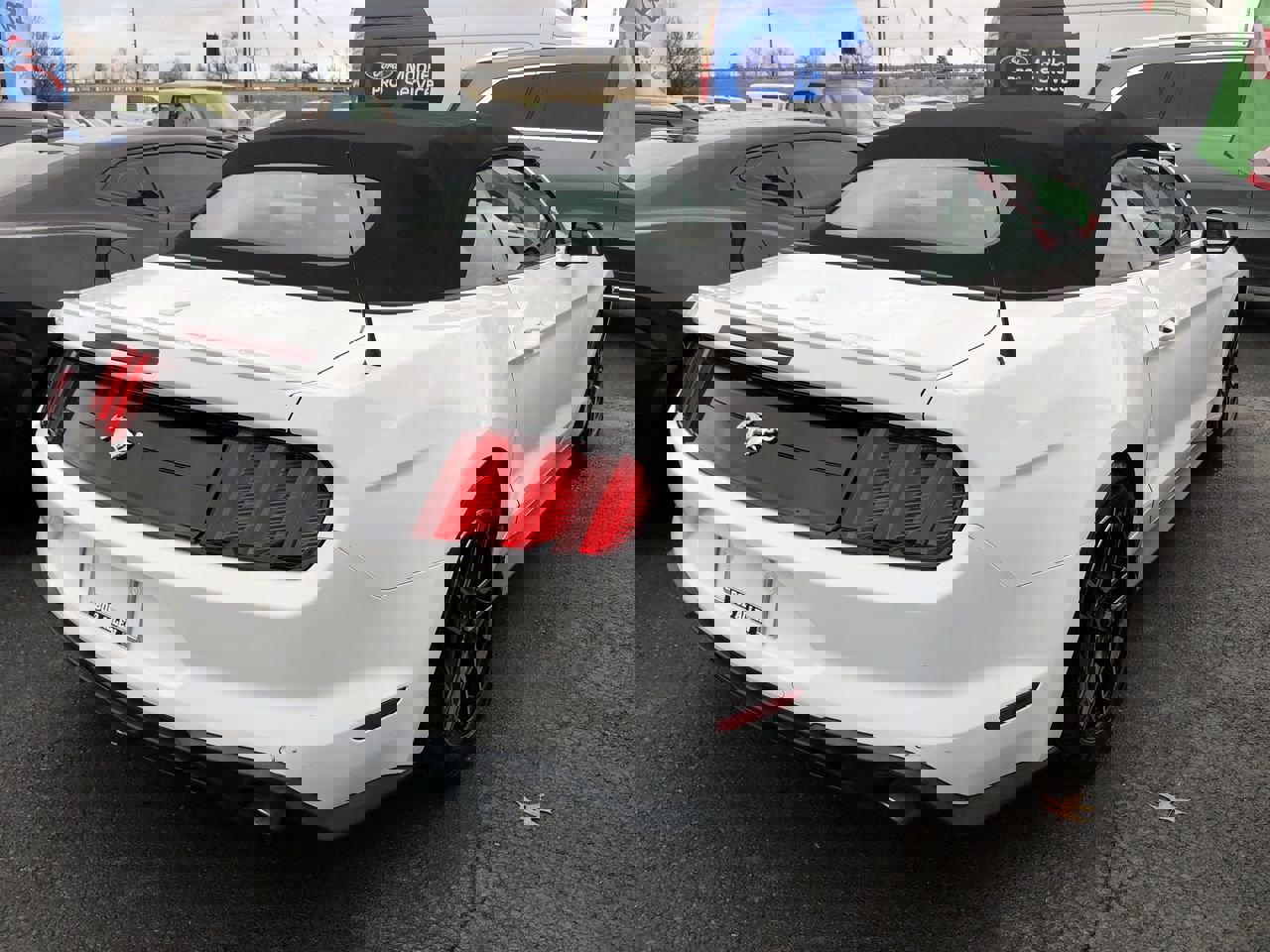 Used 2020 Ford Mustang Premium image 5