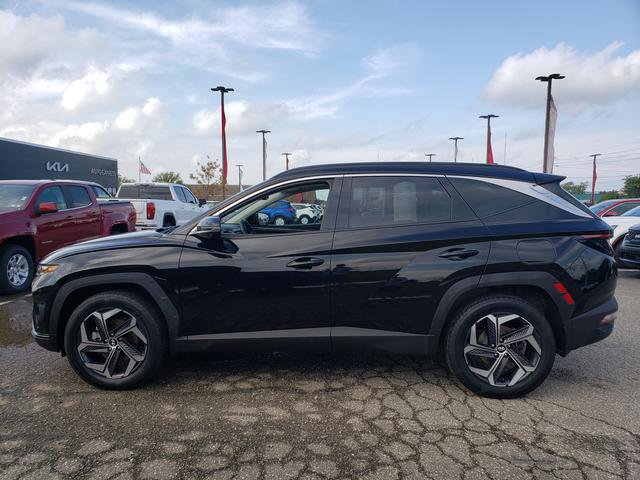 Used 2024 Hyundai Tucson Limited image 4
