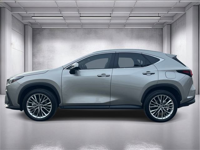 Used 2025 Lexus NX 350h AWD w/ Cold Area Package image 6