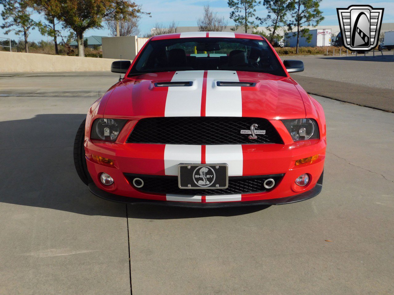Used 2008 Ford Mustang Shelby GT500 image 4