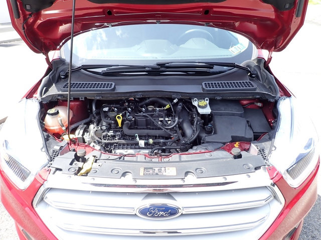 Used 2019 Ford Escape SEL FWD image 13