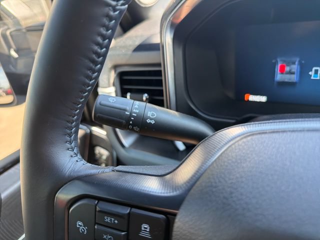 Used 2025 Ford F350 Platinum AWD/4WD image 19