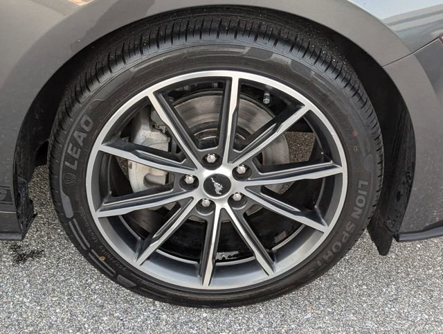 Certified 2019 Ford Mustang Premium w/ Equipment Group 201A image 13