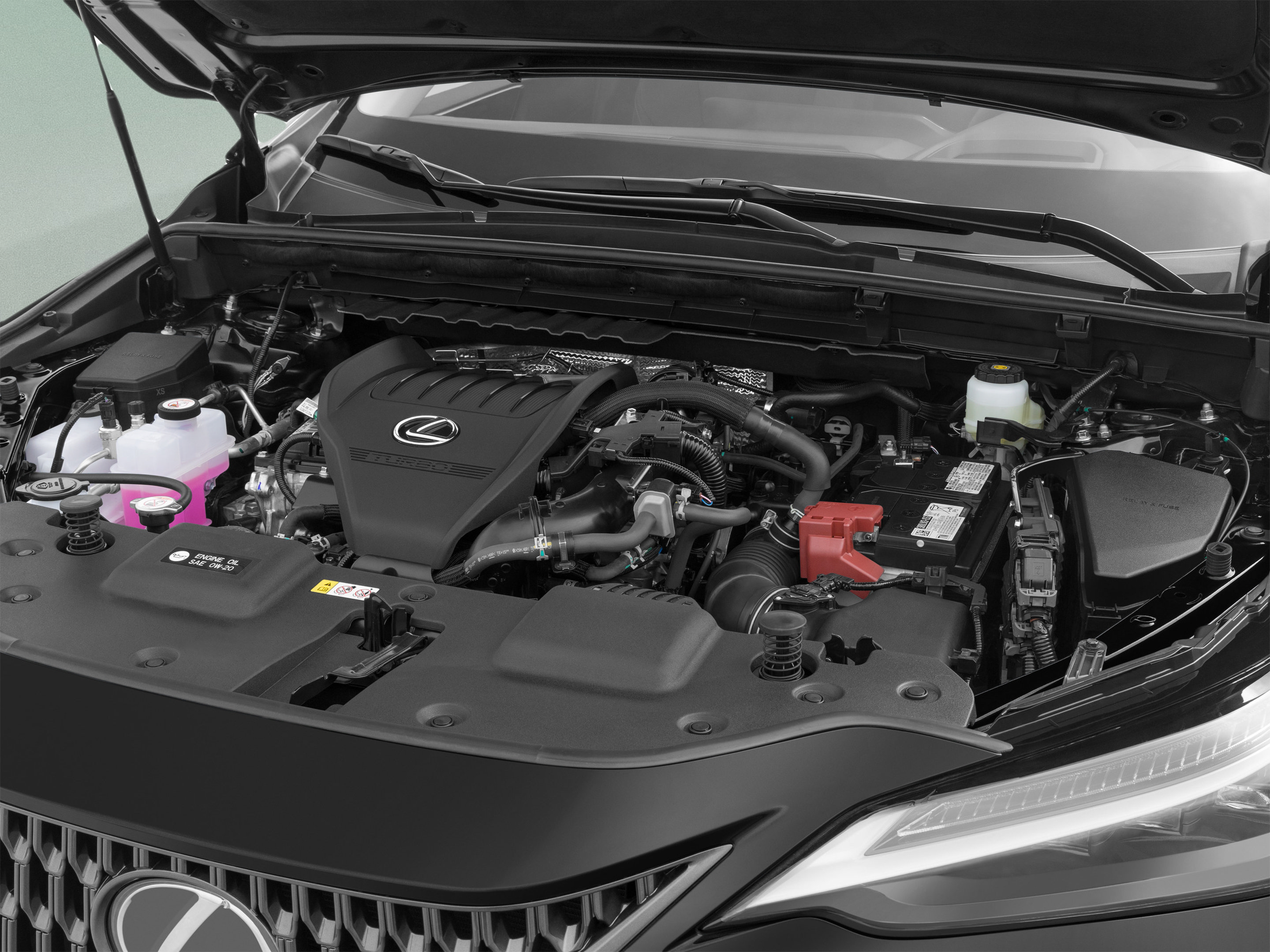 Used 2025 Lexus NX 350h AWD w/ Accessory Package (2T) image 15