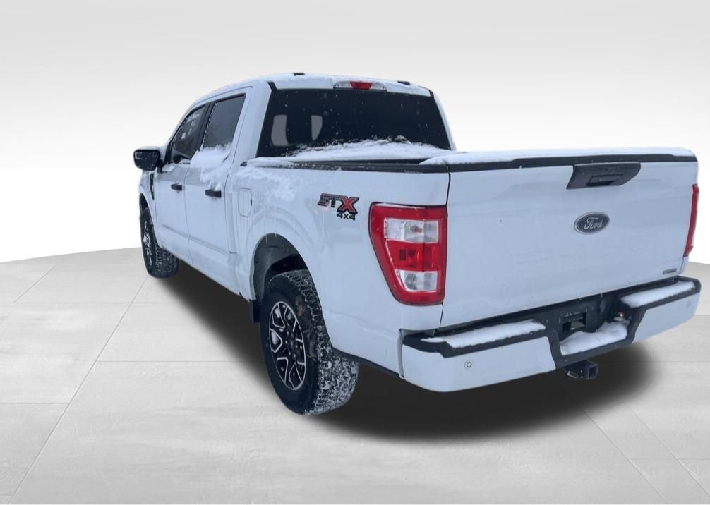 Used 2023 Ford F150 XL w/ XL STX Apperance Package image 3