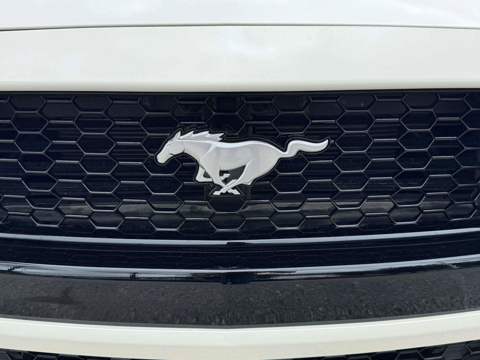 Used 2025 Ford Mustang GT Premium w/ 60th Anniversary Package RWD image 12