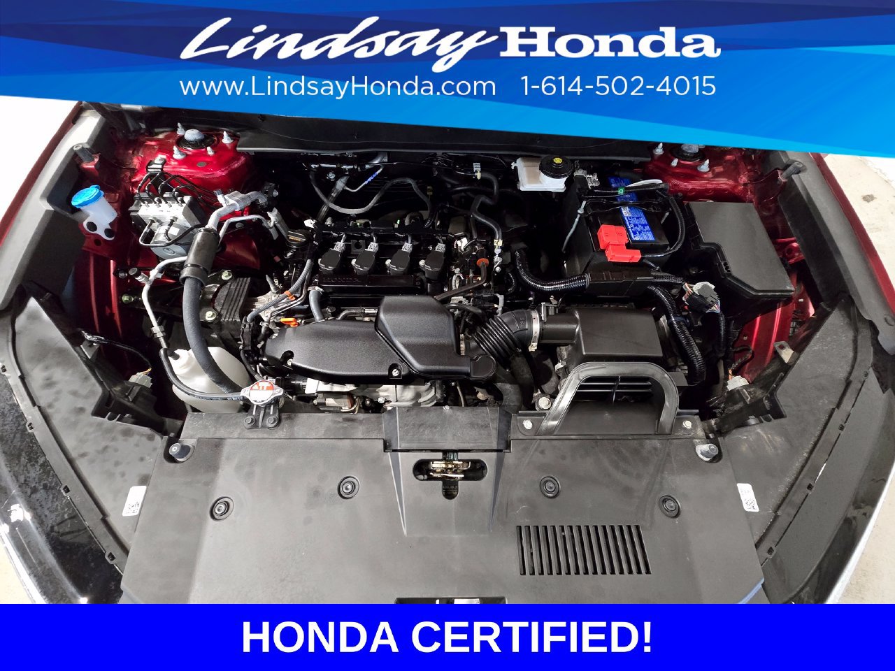 Certified 2024 Honda CR-V EX image 25