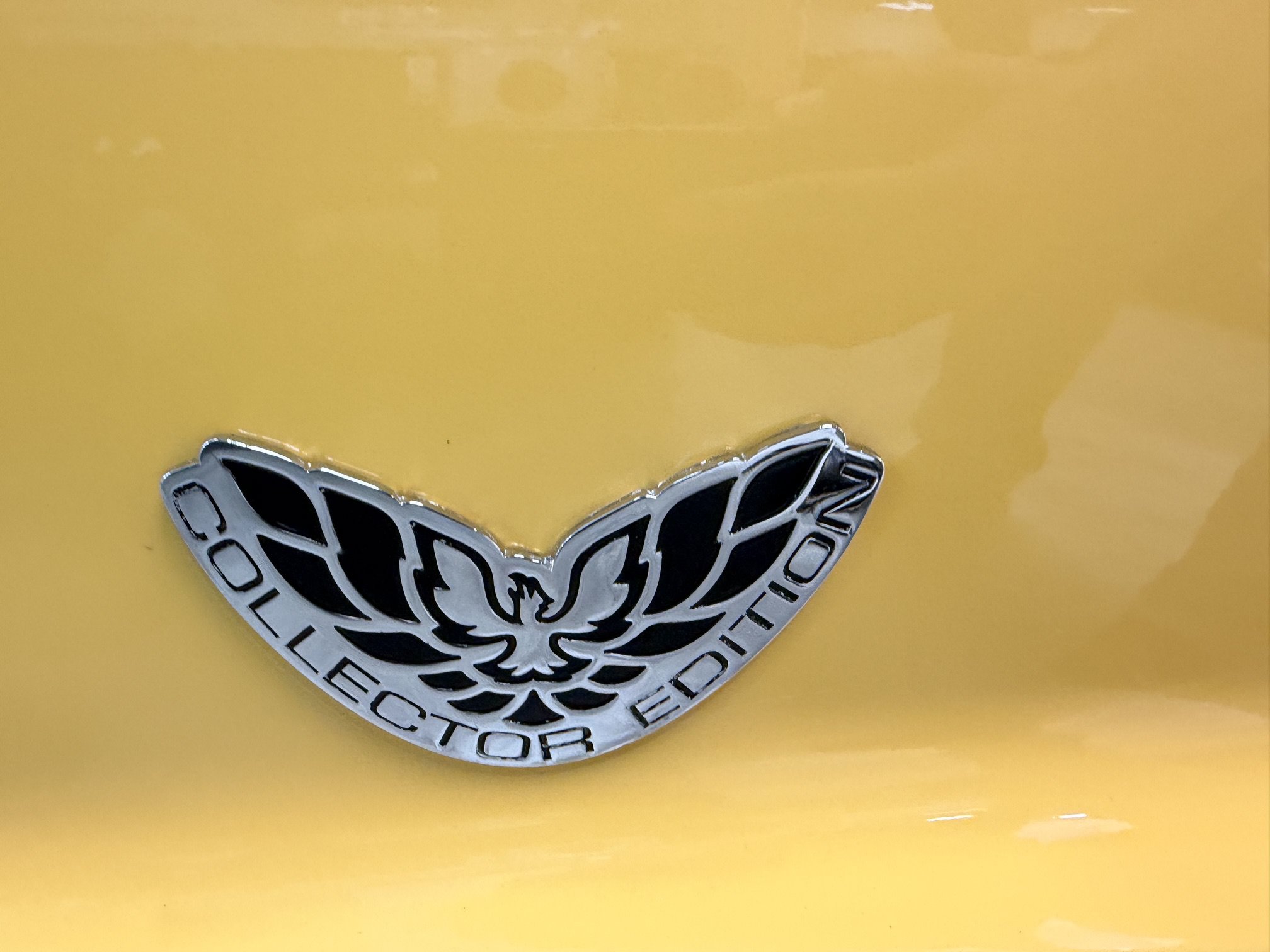 Used 2002 Pontiac Firebird Trans Am RWD image 22