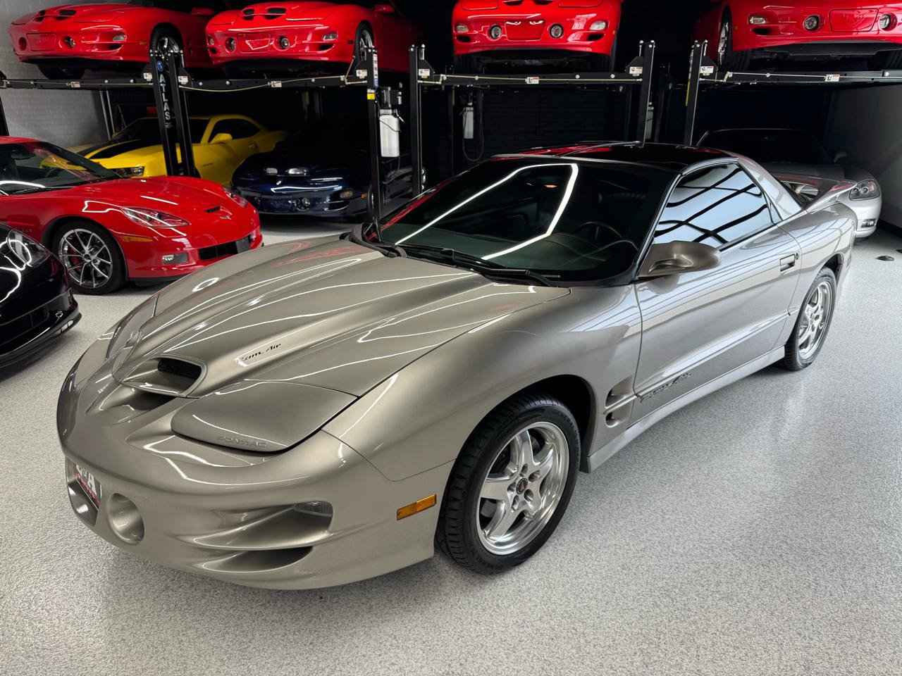 Used 2001 Pontiac Firebird Trans Am w/ SLP Firehawk Pkg RWD image 5