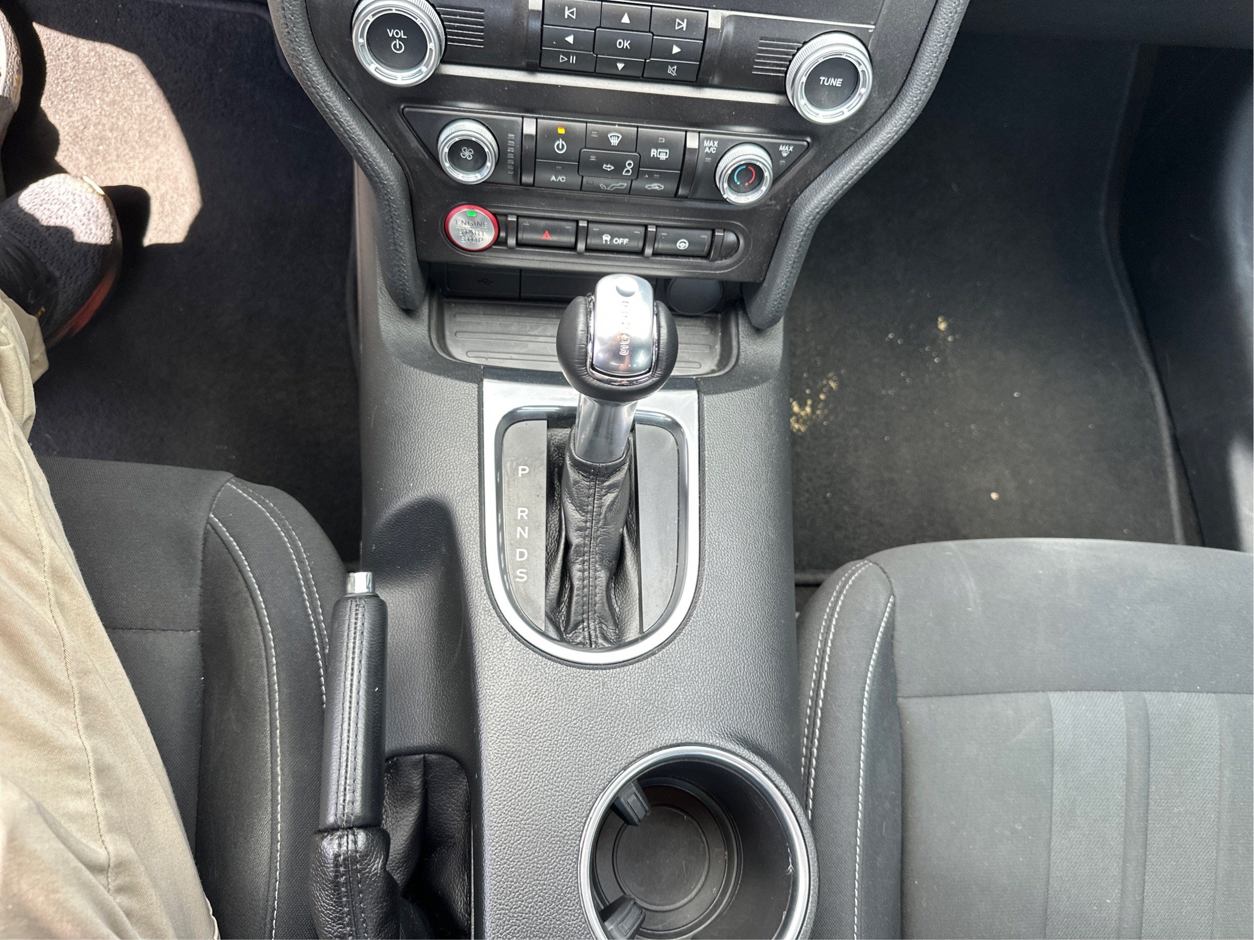 Used 2019 Ford Mustang Coupe RWD image 14