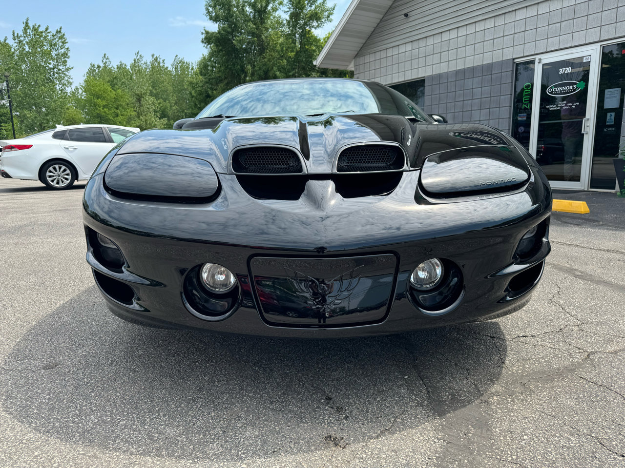 Used 2002 Pontiac Firebird Trans Am image 8