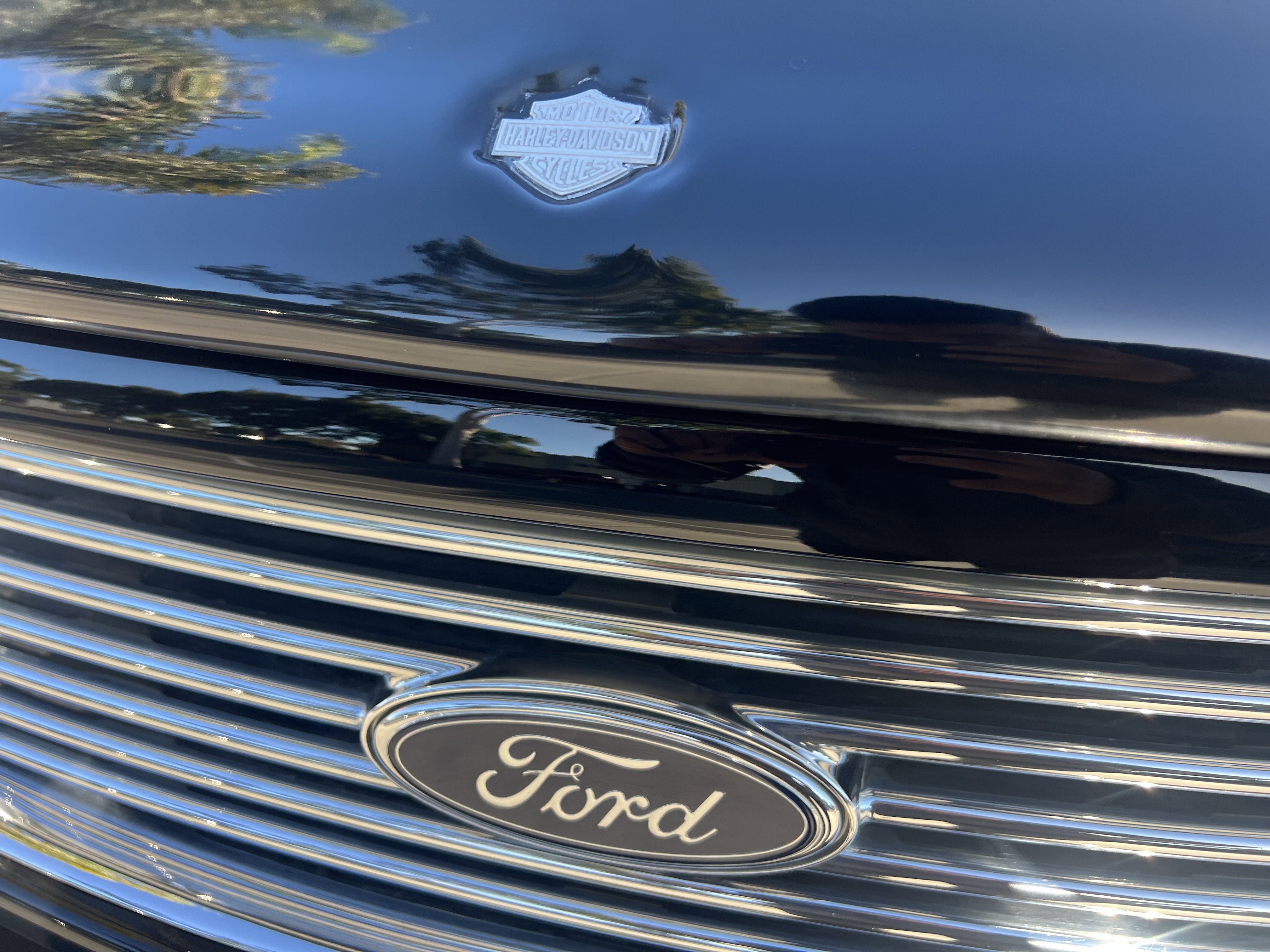 Used 2002 Ford F150 Harley-Davidson RWD image 15