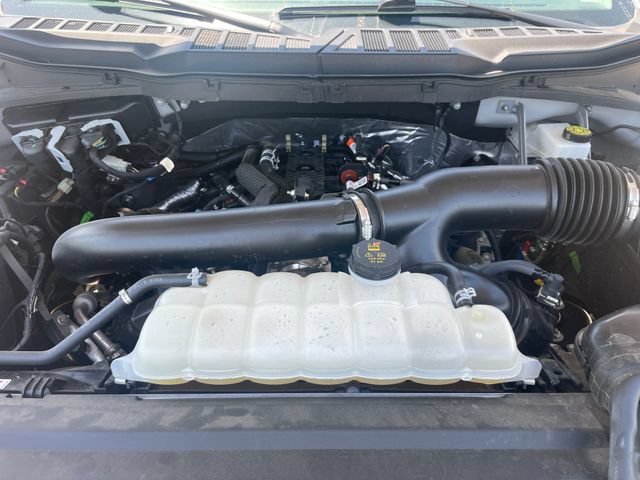 Used 2025 Ford F150 XLT w/ Equipment Group 301A Standard AWD/4WD image 31
