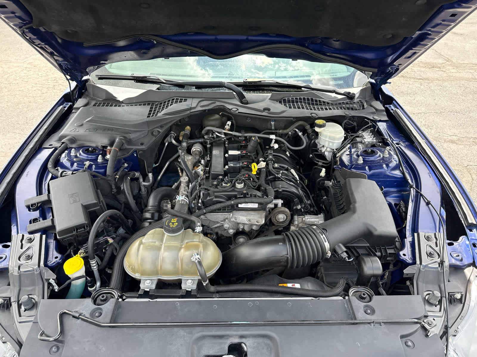 Used 2016 Ford Mustang Coupe RWD image 25