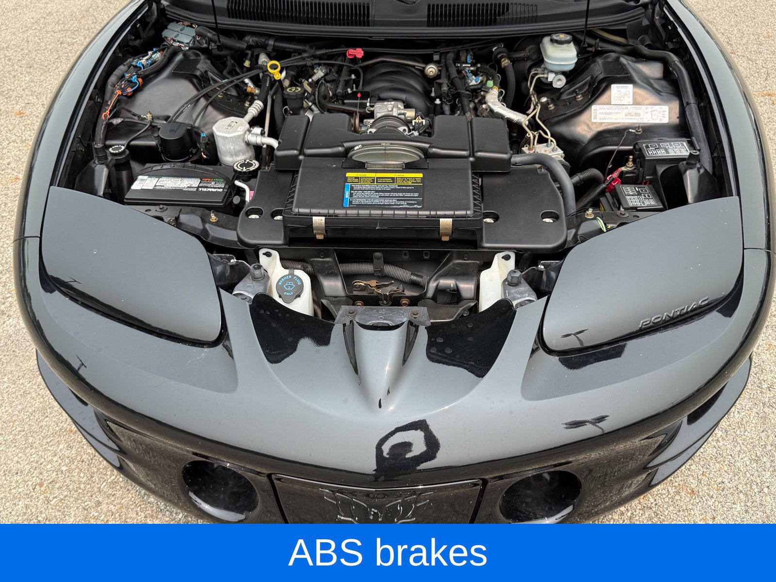 Used 2002 Pontiac Firebird Trans Am RWD image 29