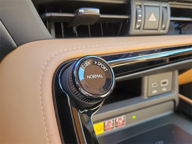 Used 2024 Lexus NX 250 250 Premium image 21