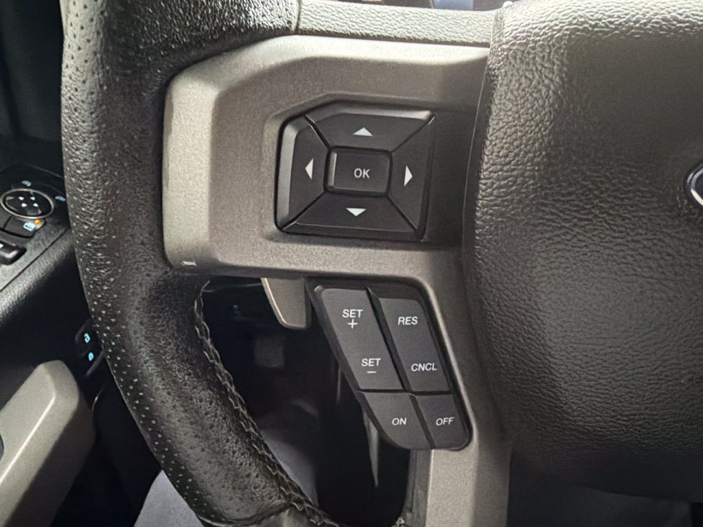Used 2018 Ford F150 Raptor w/ Equipment Group 802A Luxury AWD/4WD image 17