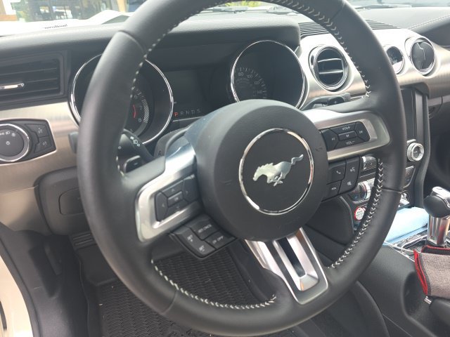 Used 2015 Ford Mustang 50 Years RWD image 12