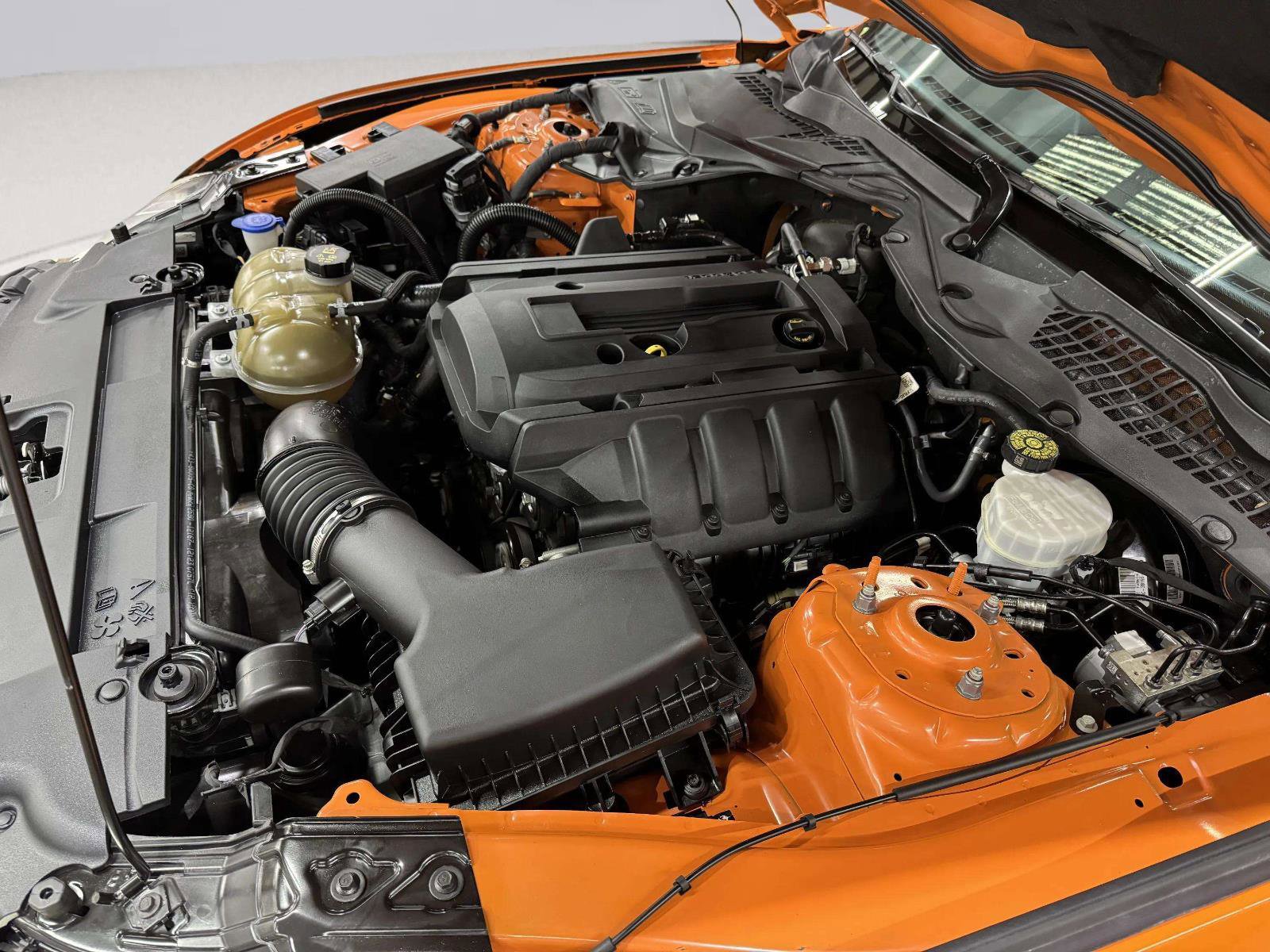 Used 2020 Ford Mustang Coupe RWD image 42