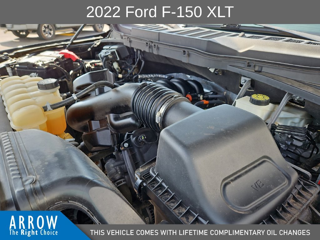Used 2022 Ford F150 XLT w/ Equipment Group 302A High AWD/4WD image 15