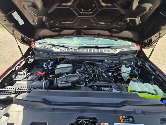 New 2025 Ford F350 XLT w/ Black Appearance Package image 30