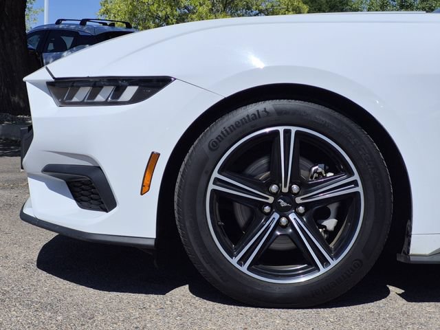 Used 2024 Ford Mustang Coupe RWD image 6