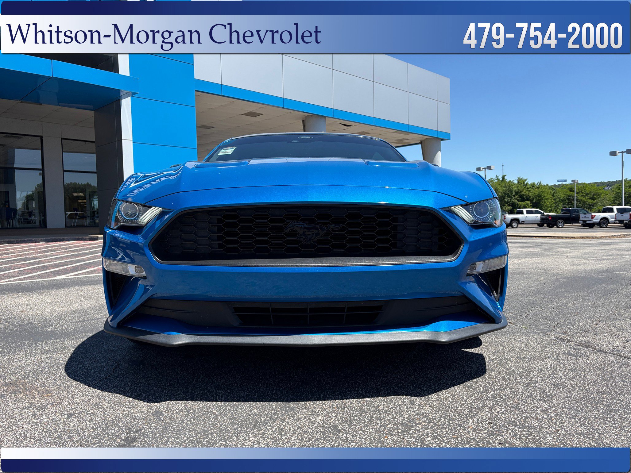 Used 2021 Ford Mustang Premium w/ Equipment Group 201A RWD image 2
