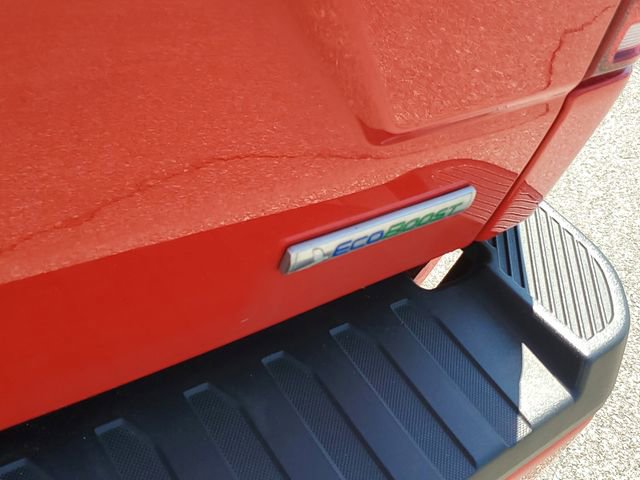 Used 2019 Ford F150 XL w/ Equipment Group 101A Mid image 7