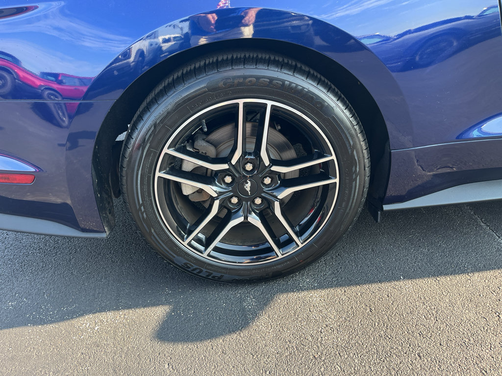 Used 2019 Ford Mustang Premium RWD image 11