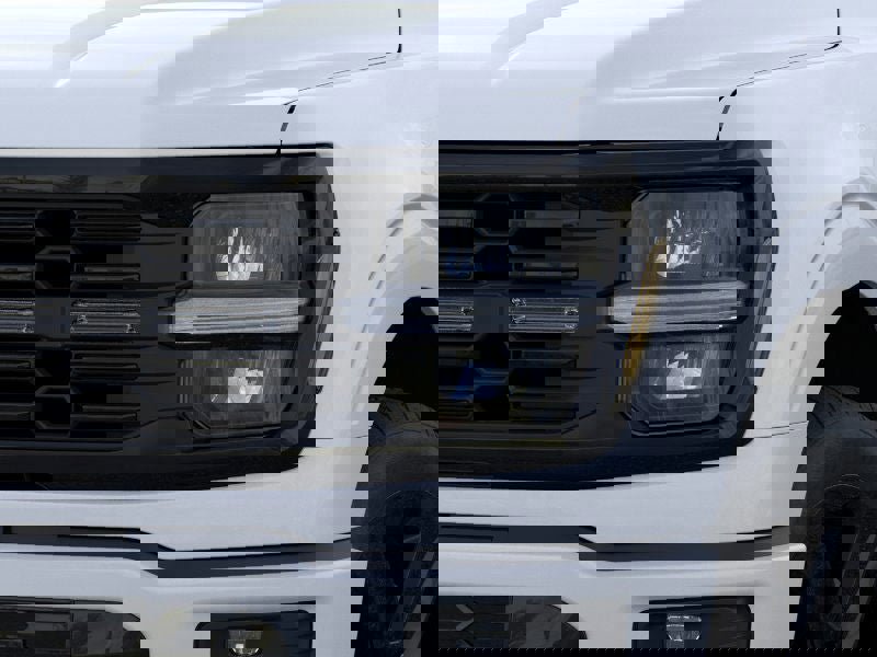 New 2025 Ford F150 STX w/ LOBO Package image 18