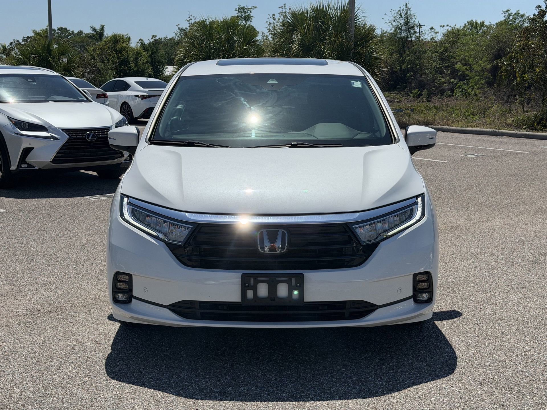 Used 2022 Honda Odyssey Elite image 2