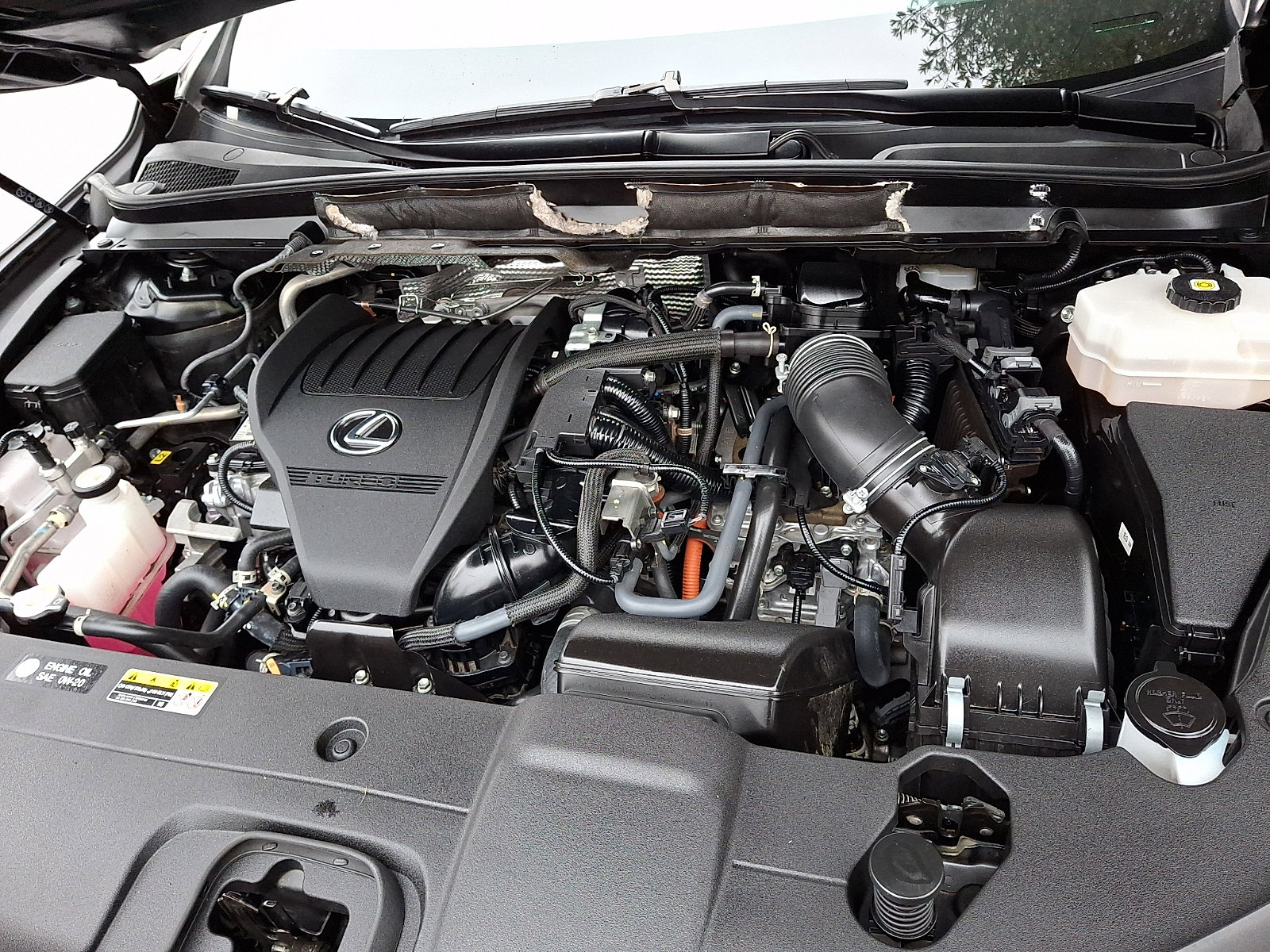 Certified 2024 Lexus RX 500h F Sport w/ Convenience Package image 27