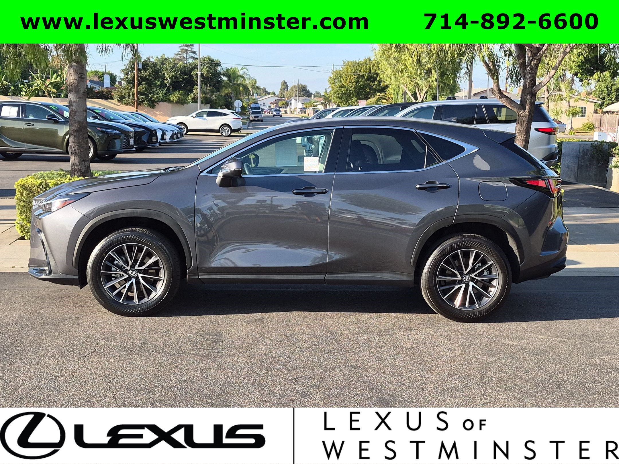 Certified 2024 Lexus NX 250 FWD image 12