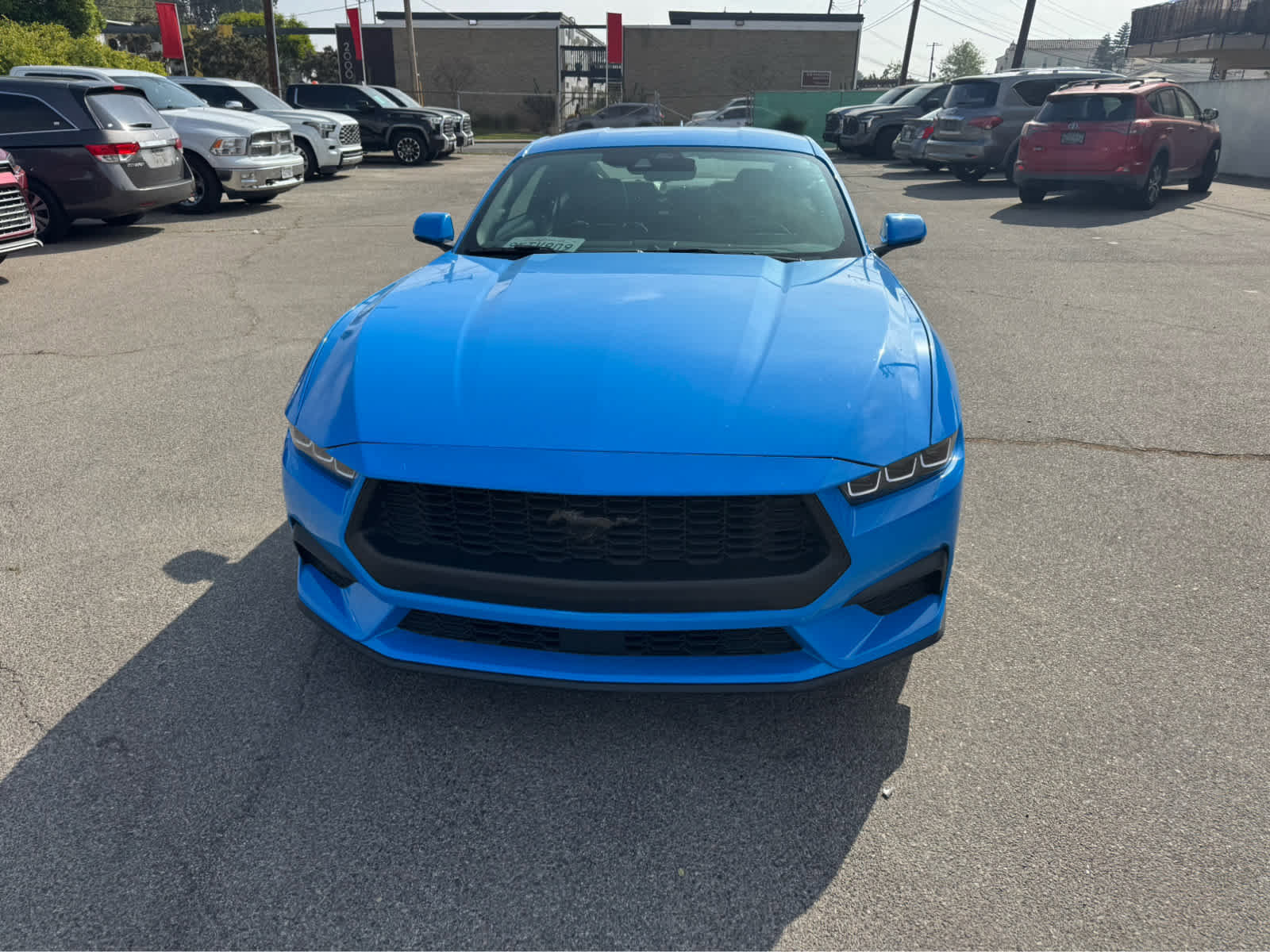 Used 2024 Ford Mustang Coupe image 11