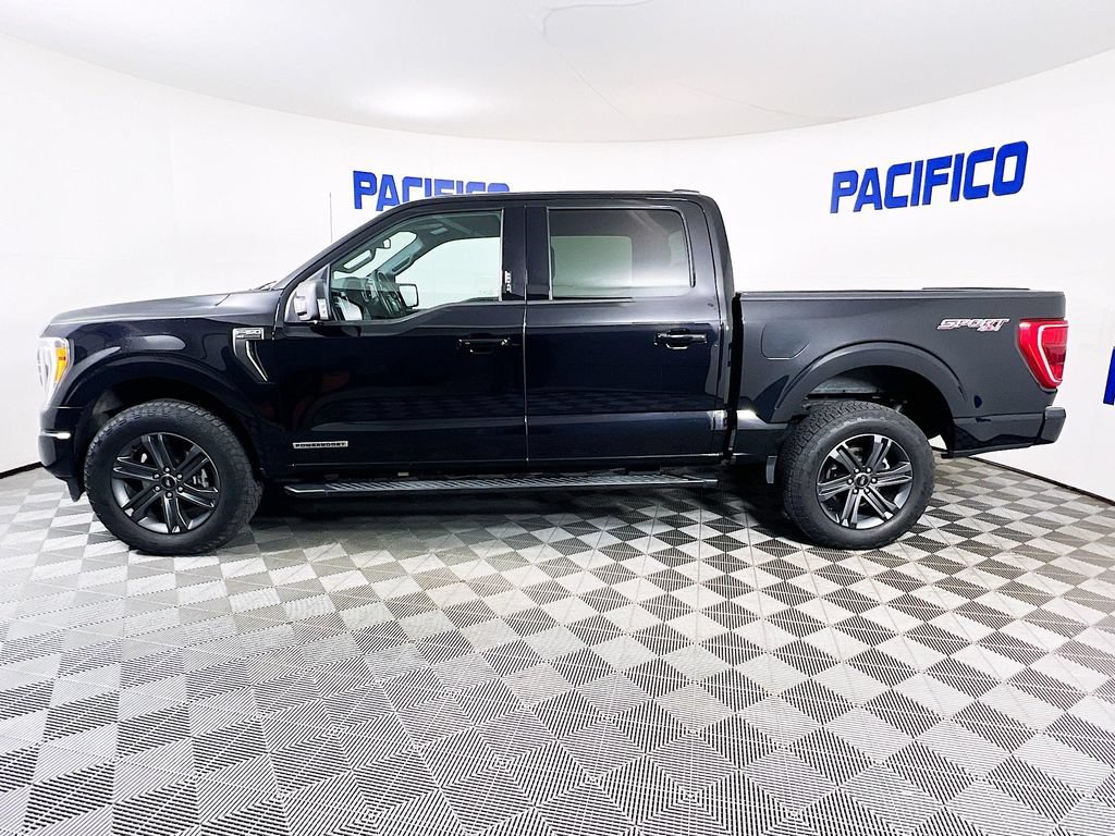 Certified 2023 Ford F150 XLT w/ Equipment Group 302A High AWD/4WD image 5