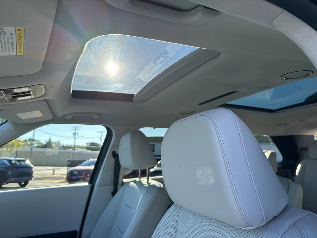 New 2026 Hyundai Palisade Calligraphy image 14