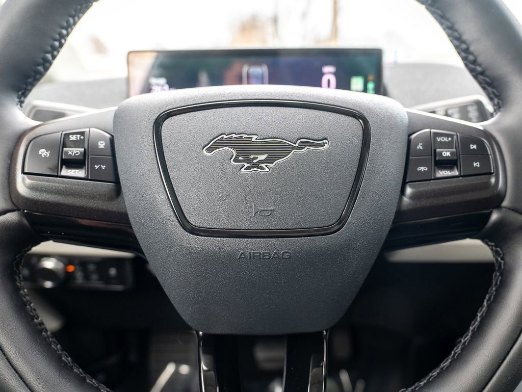 Used 2021 Ford Mustang Mach-E Premium image 14