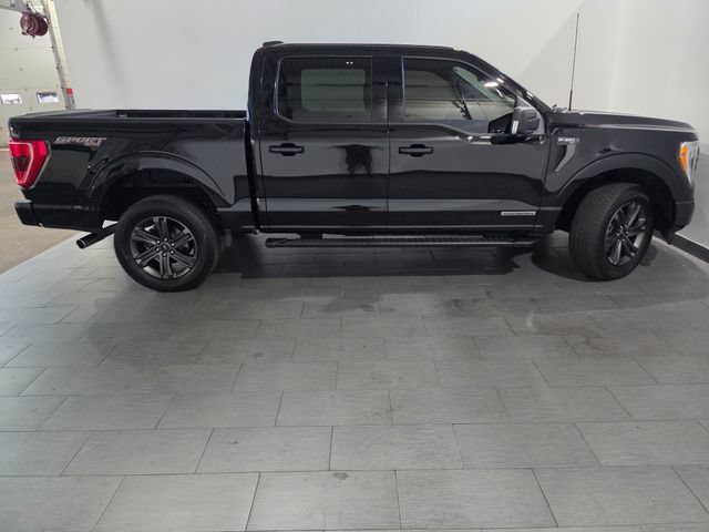 Used 2023 Ford F150 XLT w/ Equipment Group 302A High AWD/4WD image 7