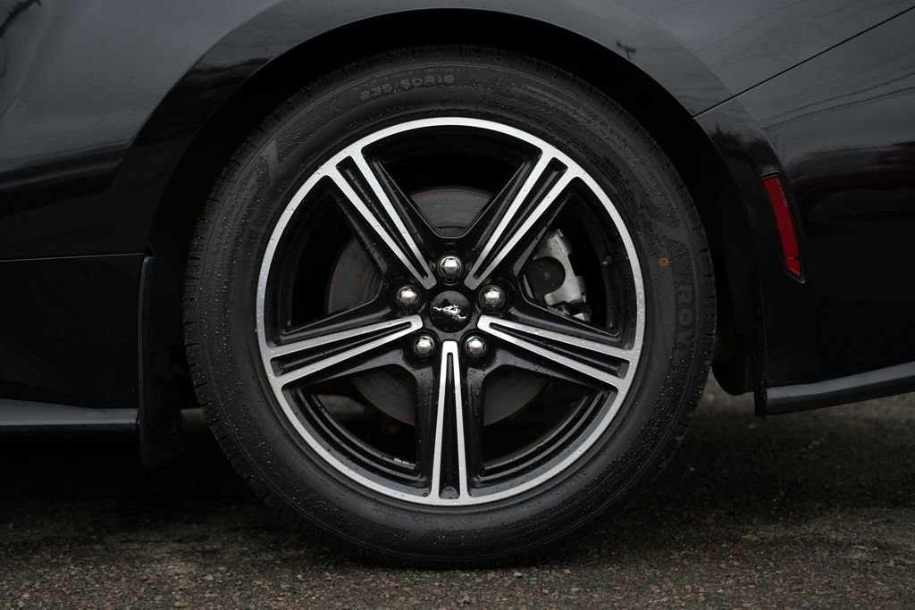 Used 2024 Ford Mustang Coupe image 14