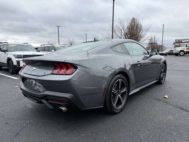 Used 2025 Ford Mustang Coupe image 3