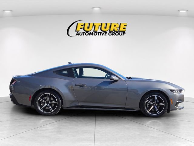 Used 2024 Ford Mustang EcoBoost image 5