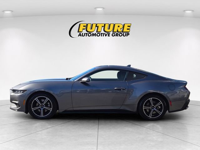 Used 2024 Ford Mustang EcoBoost image 4