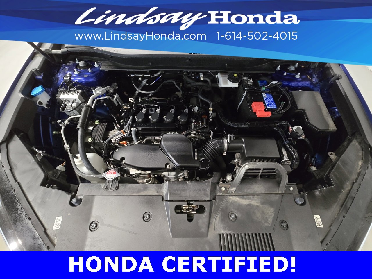 Certified 2024 Honda CR-V EX image 24
