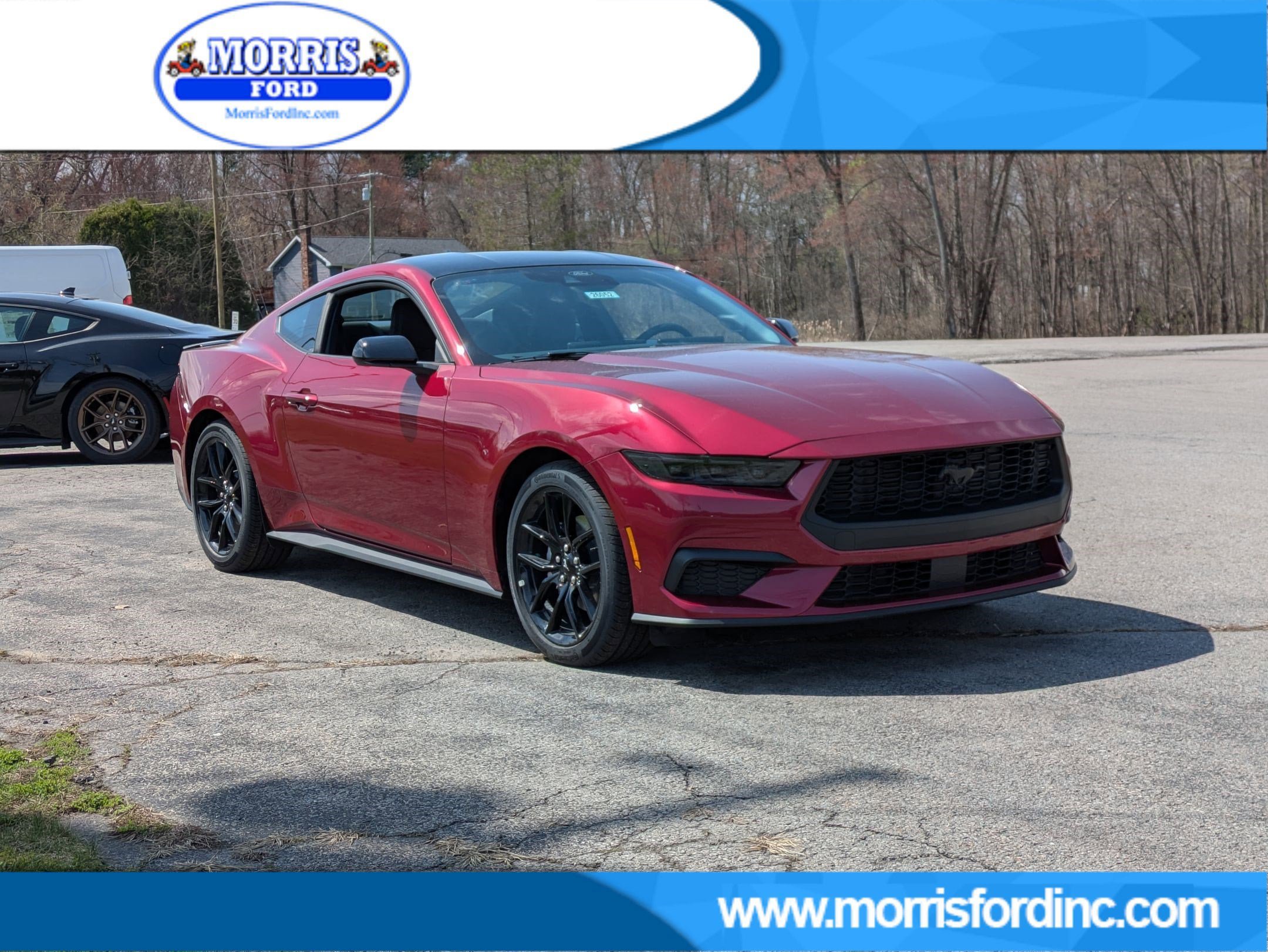 New 2026 Ford Mustang Coupe w/ Mustang Nite Pony Package