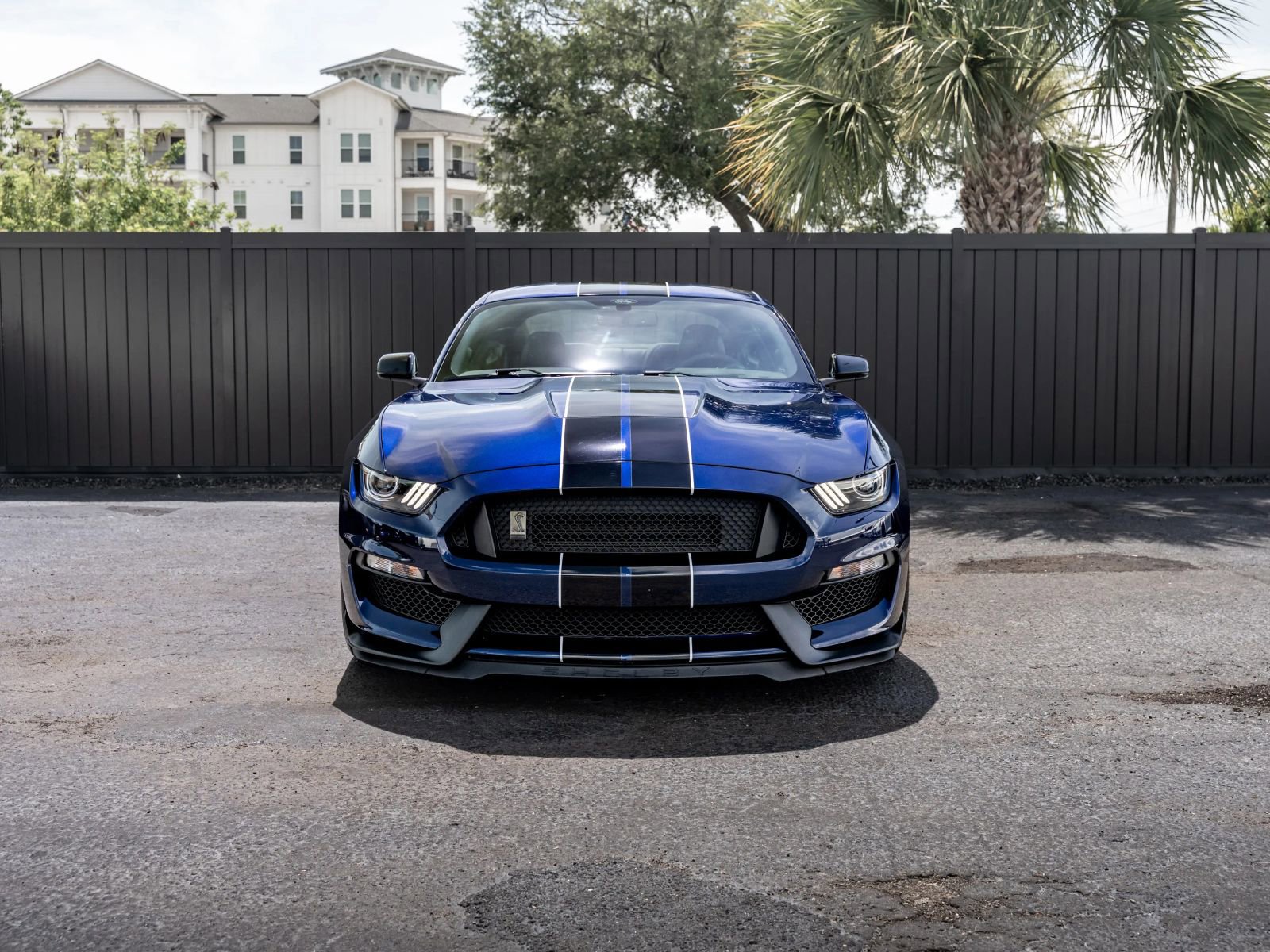 Used 2018 Ford Mustang Shelby GT350 w/ Convenience Package RWD image 9